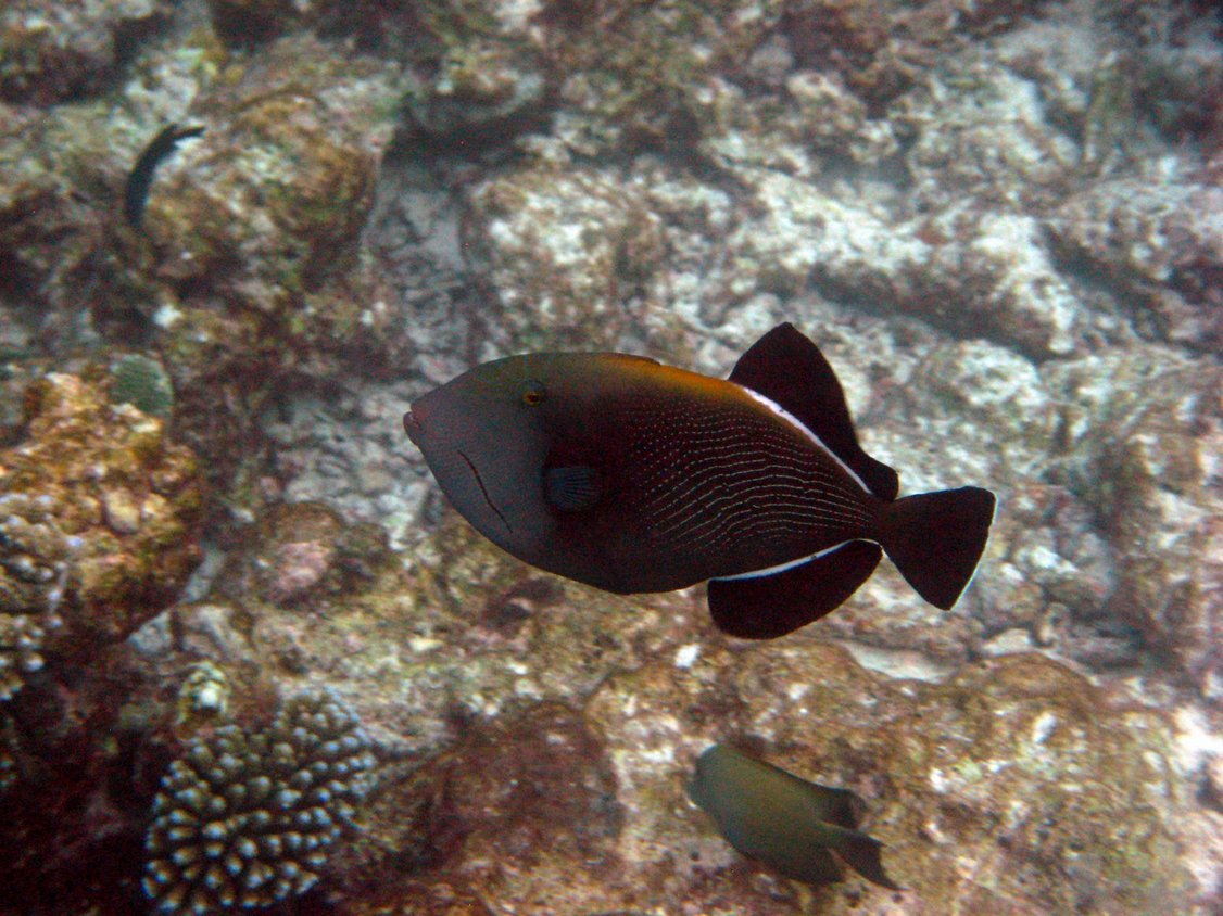 Photo00144